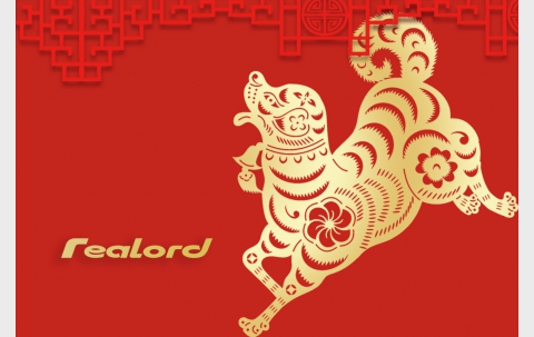 golden dog_cover